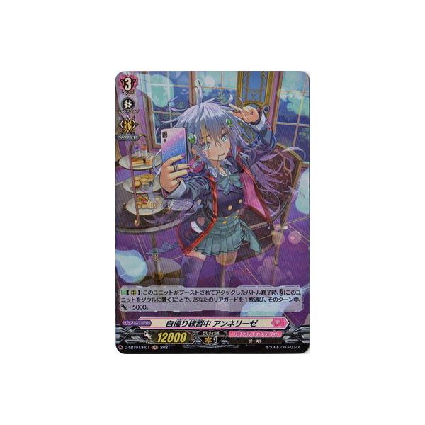 �J�[�h�t�@�C�g!! ���@���K�[�h D-LBT01�^H01�@���B����K�� �A���l���[�[�@H