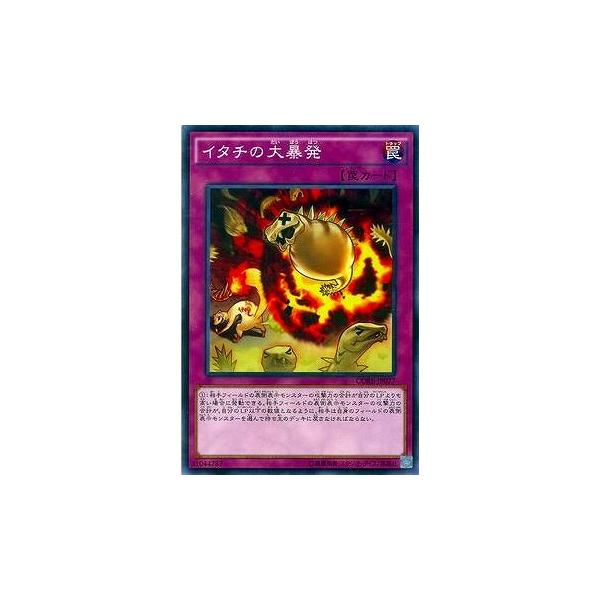 �V�Y�� ��9�� 5�e CORE-JP077�@�C�^�`�̑�\��