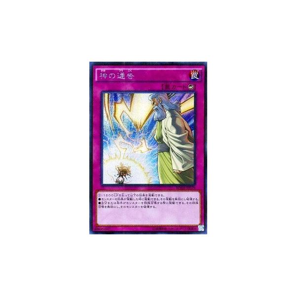 �V�Y�� ��9�� 7�e BOSH-JP079�@�_�̒ʍ��y�V�[�N���b�g���A�z