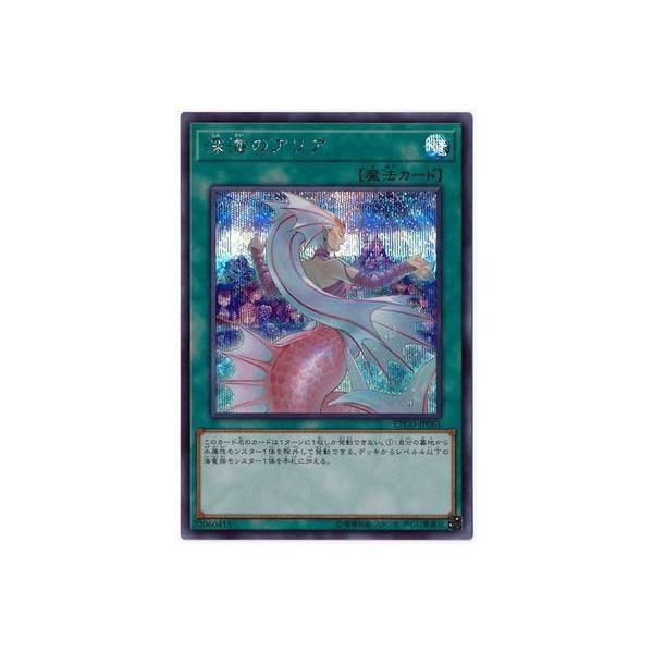 VY 10 12e ETCO-JP061 [C̃AAyV[NbgAz