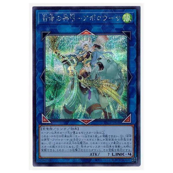 VY 11 PAC1-JP028 ̐_||A|E[TyV[NbgAz