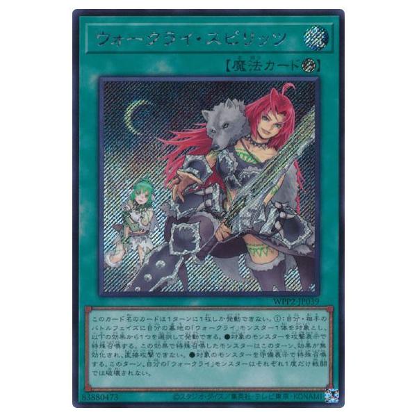 VY 11 WPP2-JP039 EH[NCEXsbcyV[NbgAzyCOŃCXgz