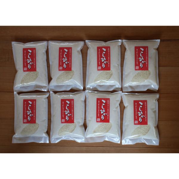 こしひかり　2袋 こしひかり2合パック : 名入れ・販促屋ホワイト - 通販 - Yahoo