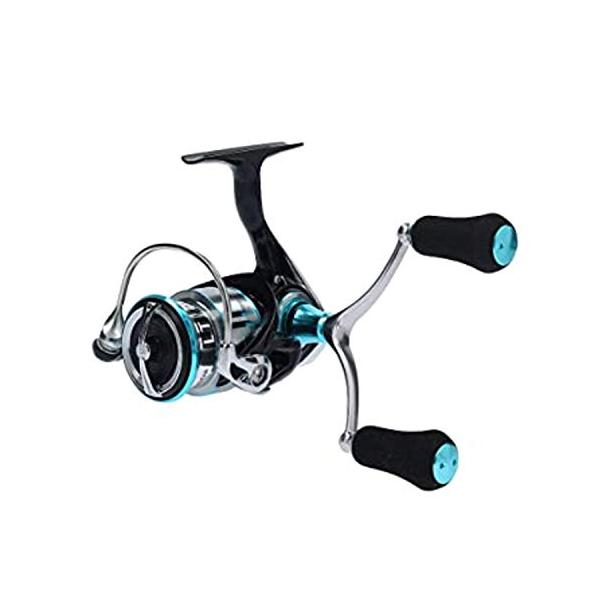 ダイワ 19エメラルダス LT2500S-H-DH ダイワ エメラルダス RX FC