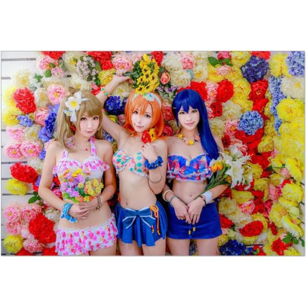 高坂穂乃果 ビキニタイプ 水着 ラブライブlovelive コスプレ 衣装 コスチューム 仮装 高坂穂乃果 覚醒 セクシー Dejapan Bid And Buy Japan With 0 Commission