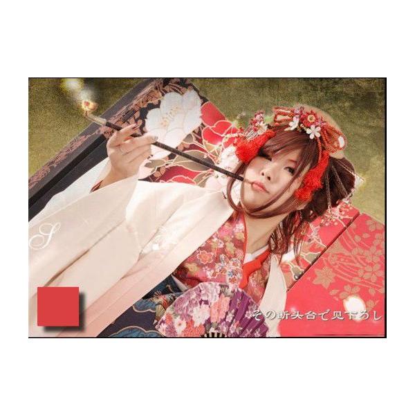 { CR MEIKO a  RXvߑAA002F/s