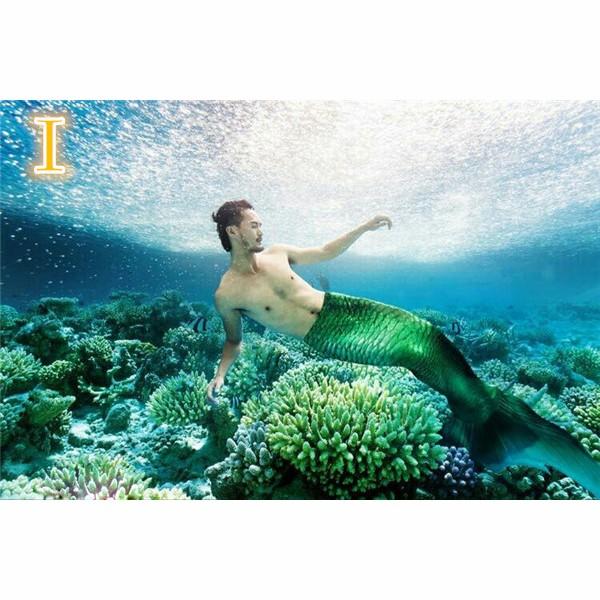 ビキニ レディース水着 人魚 ビキニ 人魚姫 フィン付き 子供服 マーメイド 体型カバー ハロウィン 仮装 Buyee Buyee Japanese Proxy Service Buy From Japan Bot Online