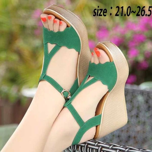 T_  EFbW\[ I[vgD T_  ɌT_ ₹  T_ TCY 傳TCY di104wy