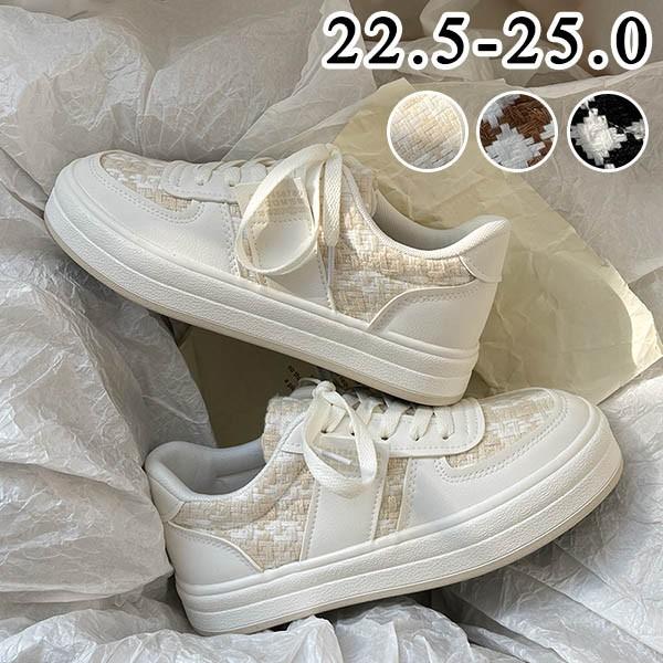 Xj[J[  fB[X jOV[Y EH[LOV[Y WjA AEghA  ؍ ʊw ʋC C