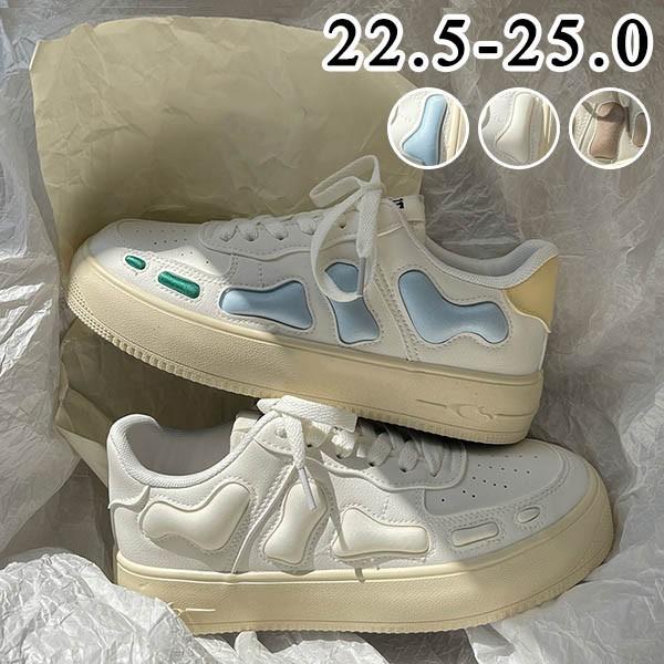 Xj[J[  fB[X jOV[Y EH[LOV[Y WjA AEghA  ؍ ʊw ʋC C