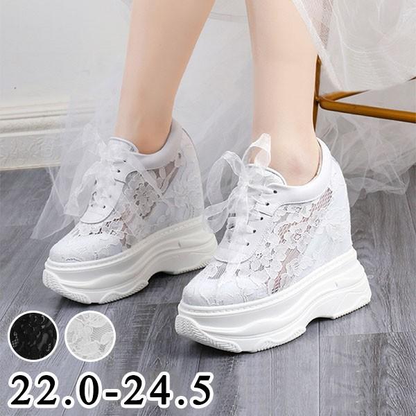 Xj[J[  fB[X Cq[ jOV[Y EH[LOV[Y WjA AEghA  ؍ ʊw ʋC