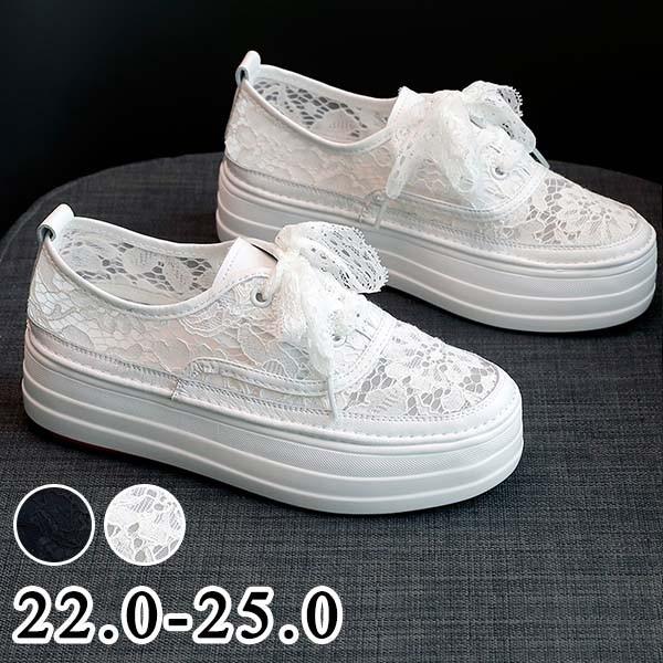 Xj[J[  fB[X EH[LOV[Y WjA AEghA  ؍ ʊw ʋC C w g[jO