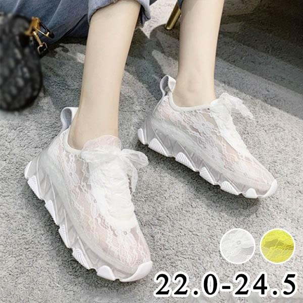 Xj[J[  fB[X jOV[Y EH[LOV[Y WjA AEghA  ؍ ʊw ʋC C w