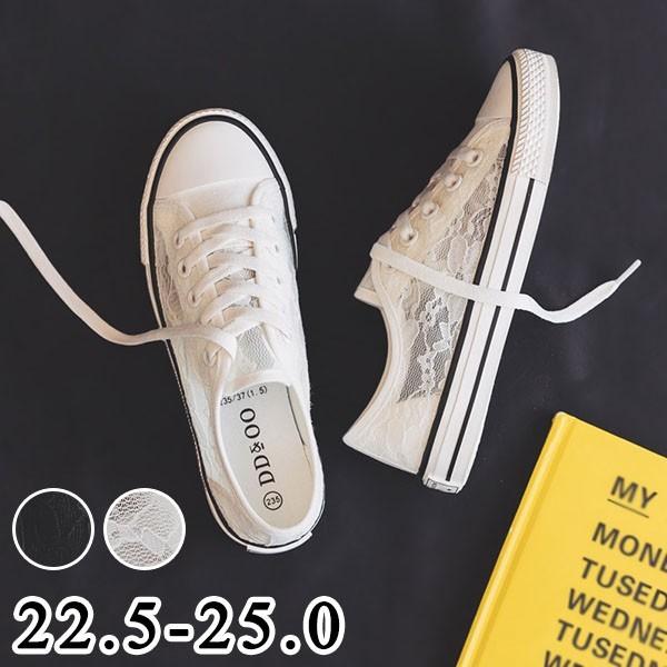 Xj[J[  fB[X jOV[Y EH[LOV[Y WjA AEghA  ؍ ʊw ʋC