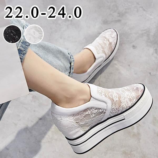 Xj[J[  fB[X Cq[ jOV[Y EH[LOV[Y WjA AEghA  ؍ ʊw ʋC