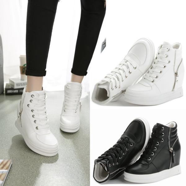 nCgbvV[Y Cq[t W[V[Y r  fB[XC V[Y [XAbv V[Y