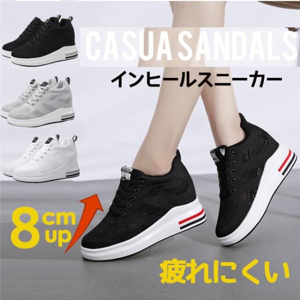 Xj[J[ Cq[Xj[J[ ᔽ fB[XXj[J[  8cm V[NbgV[Y EH[LOV[Y