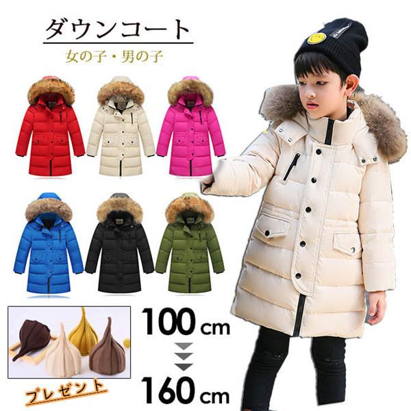 _ER[g̎q j̎q _EWPbg q O N[t@[t t[h@ʊw LbY h H~ WjA AE^[ ~