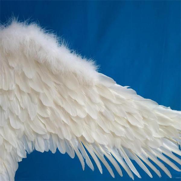 天使の羽 コスプレ道具 羽 翼 wing ウイング 妖精 悪魔 ステージ道具
