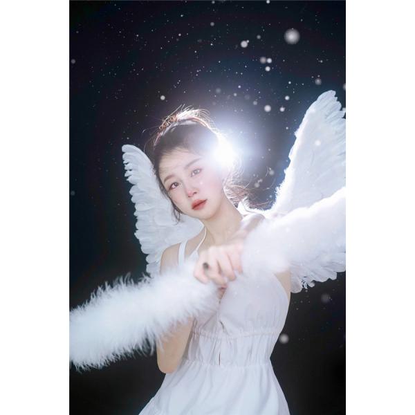 天使の羽根(コスプレ舞台小道具60cm×70cm) 天使の羽根(コスプレ舞台小道具60cm×70cm)