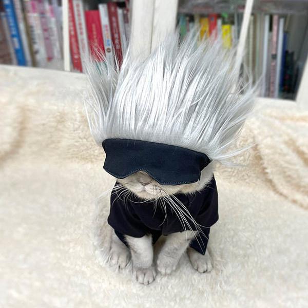 p ܏  ՏIm  ybg ybgpi  L ^p 킢 nEB 낢 NX}X