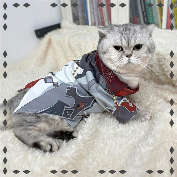 _ Genshin 񂵂@__A ybg ybgpi  L ^p 킢 nEB 낢 NX}X p[eB[