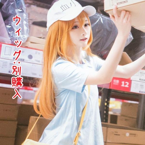 はたらく細胞 血小板 けっしょうばん 可愛い コスプレ衣装 Tシャツ パンツ 帽子 口笛 Cosplay Cosplay コスチューム 学園祭 イベント 文化祭 Buyee Buyee Japanese Proxy Service Buy From Japan Bot Online
