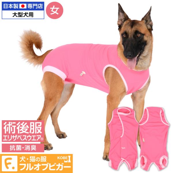 大型 犬 エリザベスカラーの人気商品 通販 価格比較 価格 Com