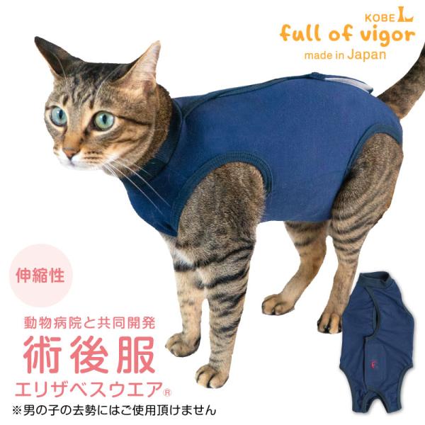 お値引き！猫用 術後ウエア エリザベスウエア - 猫用品