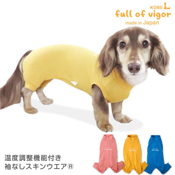 fullofvigor-yshop_21-05064-1