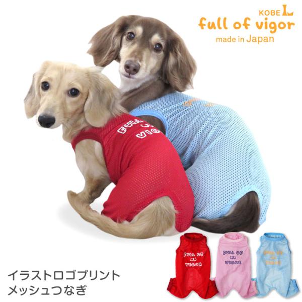 fullofvigor-yshop_21-09169-1