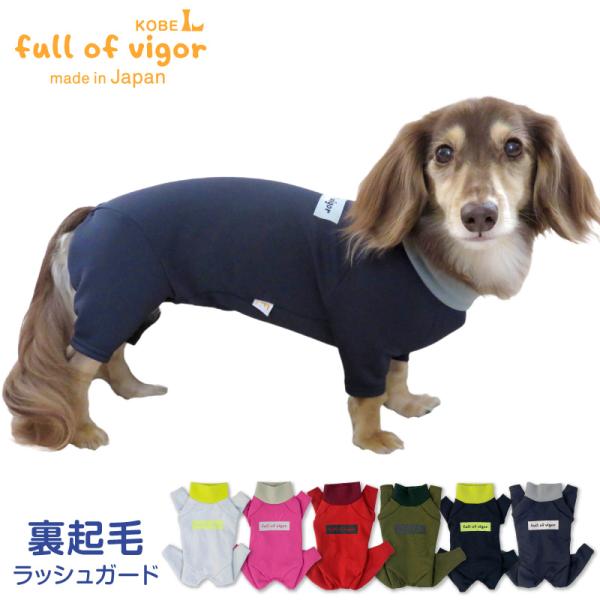 小型犬＆大型犬服 ハロウィンラッシュガード【専用】 ドッグプレイ(R) 接触冷感 ハイテンション ラッシュガード