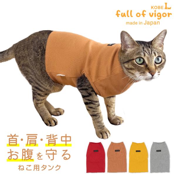 fullofvigor-yshop_23-02311-1