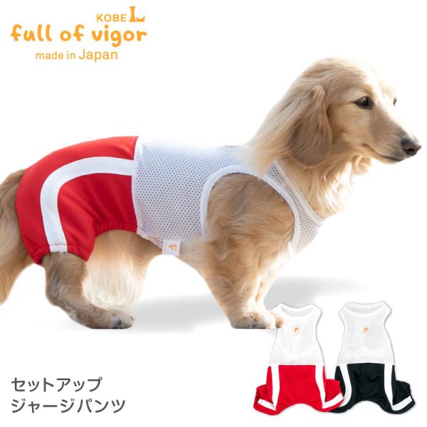 トイプードル　長袖×長ズボンのセットアップ　ホワイト 楽天市場】犬 服 夏 レイヤード風 ボタニカル パンツ つなぎ