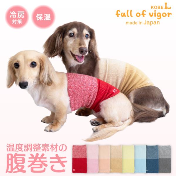 やさしく包んで、お腹ポカポカ。毎日がもっと快適に。ぽっちゃり体型でもしっかりフィット。驚くほど伸縮性が高く、体にやさしく寄り添います。締めつけ感がなく快適な着心地で、動きやすさも十分に保っています。冬の底冷え、夏のエアコンの冷えからお腹を守...