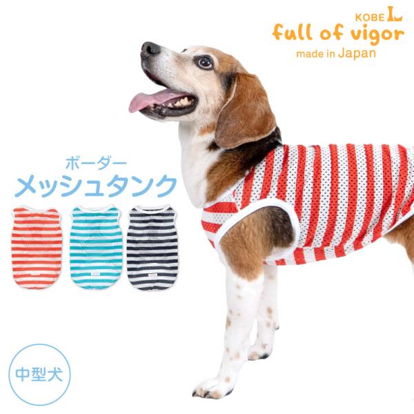 fullofvigor-yshop_24-02176-1