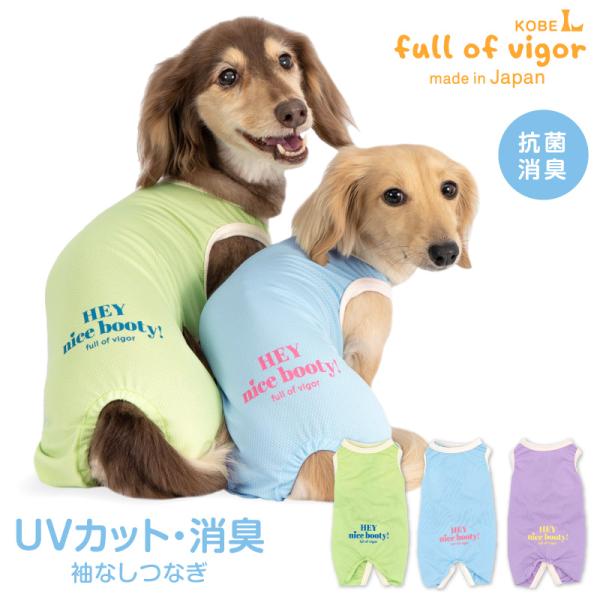 fullofvigor-yshop_24-09443-1