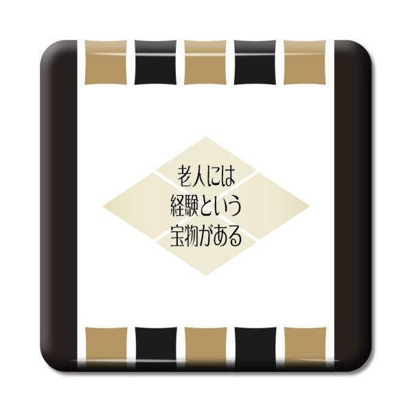   ObY ʃobW XNGA cM 4 Vlɂ͌oƂ󕨂 IWi 퍑 E̖ y|WeBuObYzPSTV 