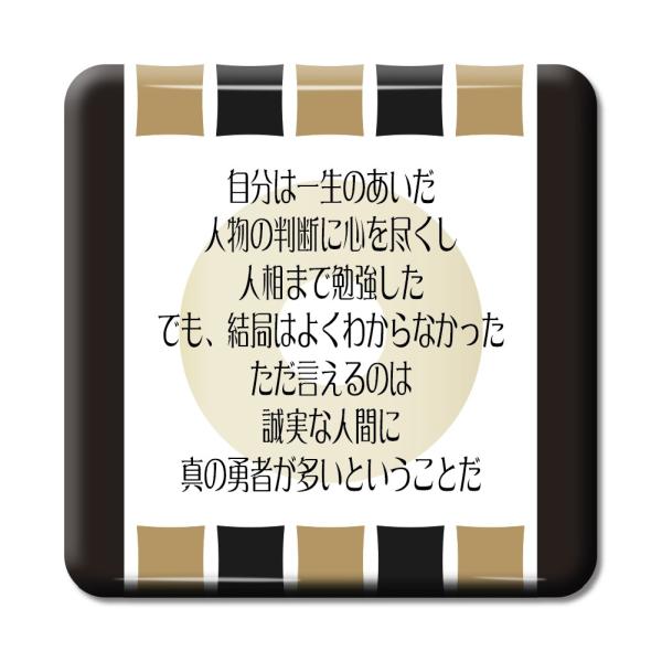   ObY ʃobW XNGA  5 ͈ꐶ̂Al̔fɐSsc IWi 퍑 y|WeBuObYzPSTV 