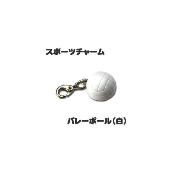 X|[c`[ y  o[{[ z ~jtBMA L[z_[ Xgbv v[g IWi