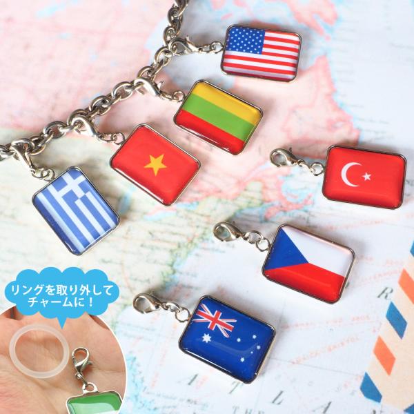 �ڈ�`���[���y���E�̍����z�y�V���R�������O�z�i50���� �A�`��p�j�S200��������I�ׂ� �����A�N�Z�T���[ �R���N�V���� ���s ���w ���ی� �����O�b�Y ���i�摜2