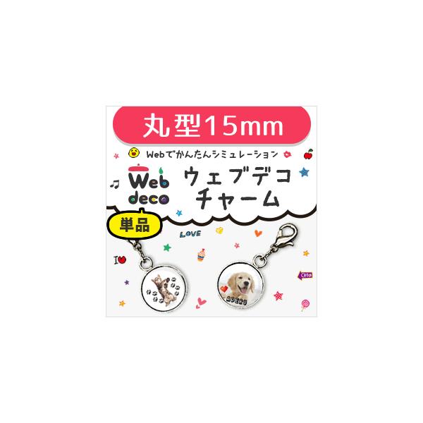 Web deco �y �� �`���[�� �z�y15mm�z �ی^ ������ �M�t�g �v���[���g ������ �ʐ^ ���� ���܎O