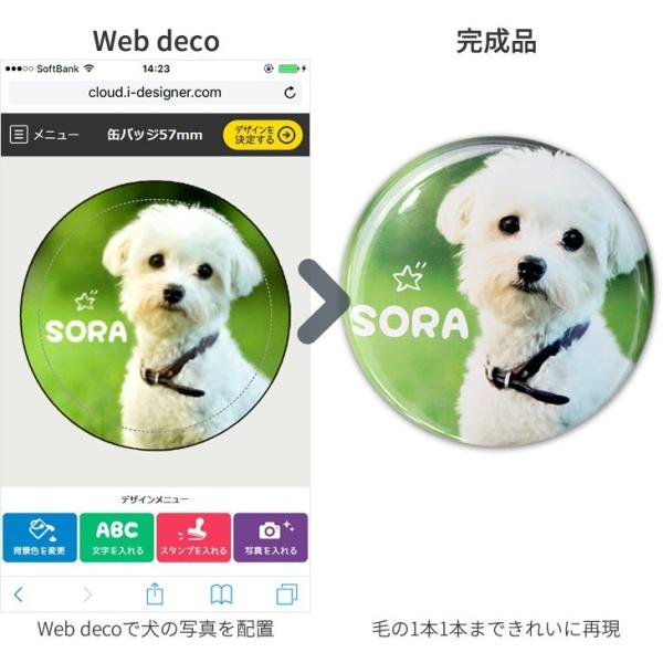 Web deco �y �L�����o�X�v�����g �z�y M�T�C�Y �z �I�[�_�[���C�h �ʐ^ �t�H�g�p�l�� �t�@�u���b�N�p�l�� �M�t�g �v���[���g ������ �ʐ^ ���� ���܎O ���i�摜4