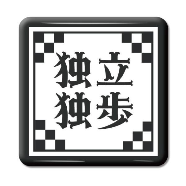 ln ObY ʃobW XNGA^ Ɨƕ(ǂǂ)y48zIWi n  v[g Mtg PSTV 