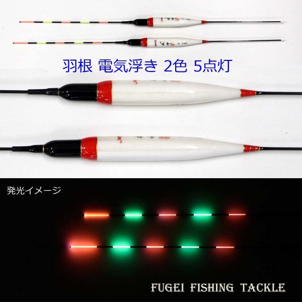 킯 ދ ΂甄 H dCEL (dqELEiC^[EL)  2F5_ S35/36cm1{ Y11smmkYK-Y010-2x