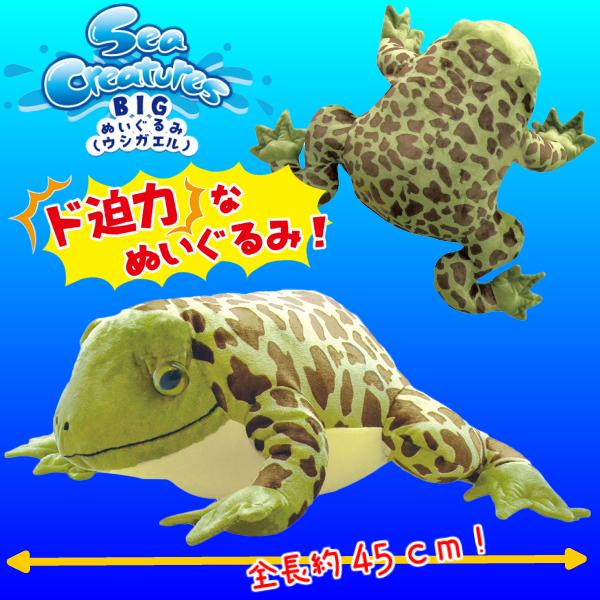 送料無料 ド迫力な海の動物ぬいぐるみ ウシガエル 全長 45cm 両生類 おもちゃ 蛙 Sea Creatures Bigぬいぐるみ クリスマスプレゼント 子供ギフト Y2 Fun Funny 通販 Yahoo ショッピング