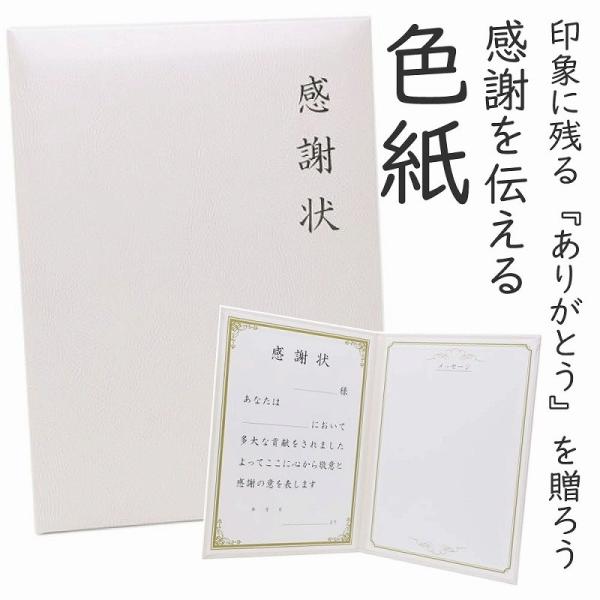 感謝状 色紙 寄せ書き 印象に残る 思い出 卒業 イベント 会社 退職 転職 お祝い 母の日 Scoloredpaper 03 150 Fun Daily 通販 Yahoo ショッピング