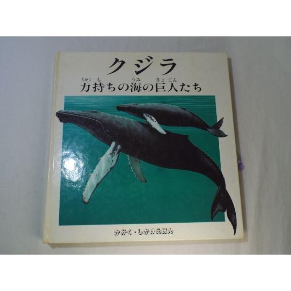 仕掛絵本 クジラ 力持ちの海の巨人たち かがく しかけえほん 難有り ポップアップ 科学 Boko0016chx4 Funfunほうむず 通販 Yahoo ショッピング