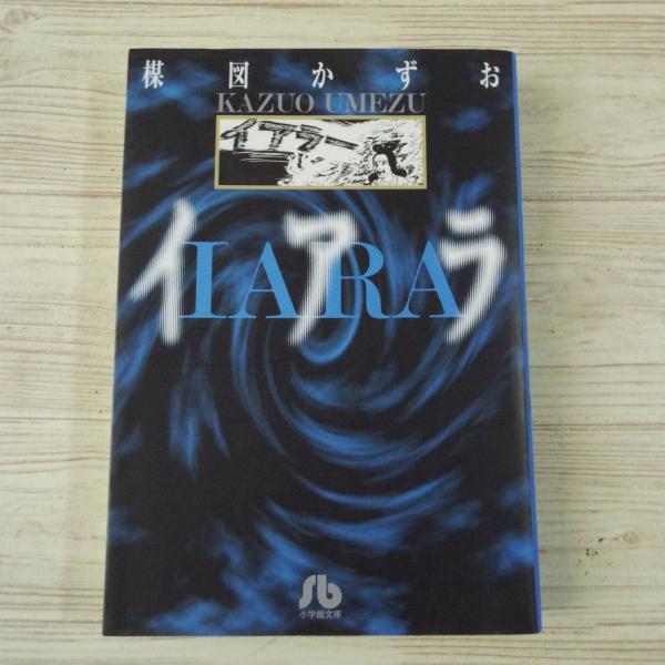 マンガ[楳図かずお イアラ （小学館文庫版）] 時空を超えた愛の