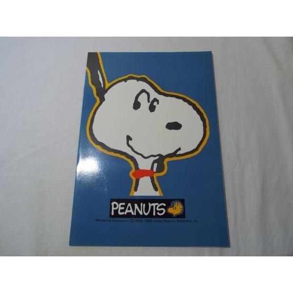文房具[PEANUTS B5大学ノート（ブルーグレイ） （C）1958，1965 United